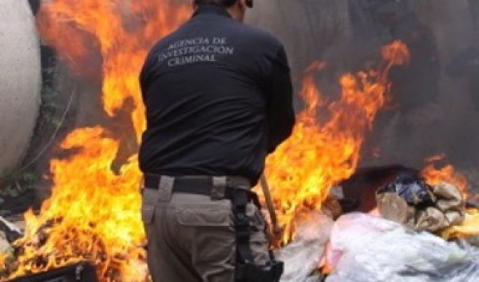 Incinera la PGR en Mérida, más de una tonelada de pepino de mar
