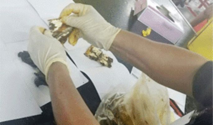 En Querétaro, la Policía Federal asegura más de 300 pastillas de aparente heroína y cápsulas de presunta marihuana