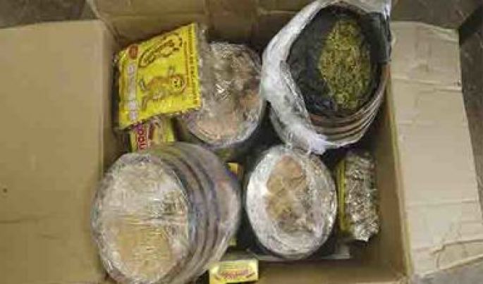 Evitan envío de droga a Cozumel, Quintana Roo