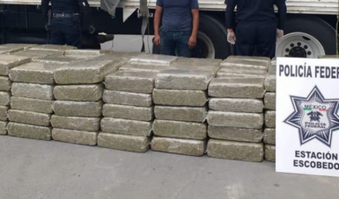 En Nuevo León, la Policía Federal asegura cerca de una tonelada de aparente marihuana
