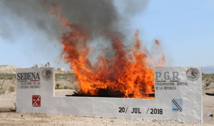 Incinera PGR más de 700 kilogramos de marihuana y otras drogas aseguradas en Ciudad Juárez