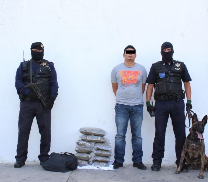 Se iba de vacaciones ... con 10 kilos de mota en la maleta