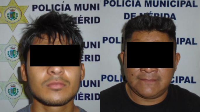 Dos ratas fuera de circulación del Centro de Mérida