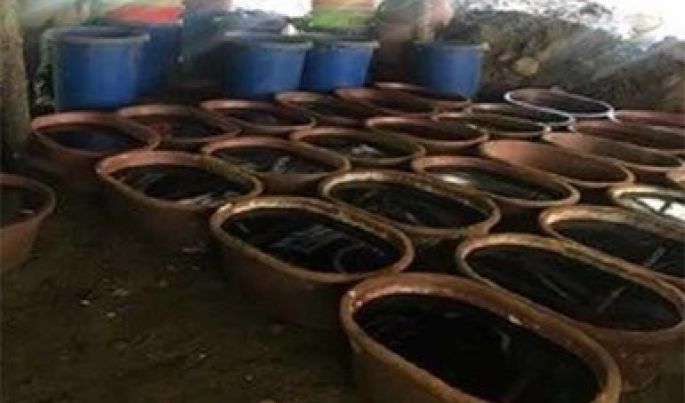 Descubren un laboratorio clandestino en Culiacán