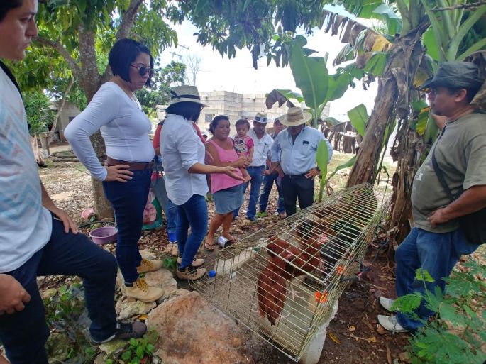 Imparten capacitación a beneficiarias del Campo en Nuestras Manos en Yucatán