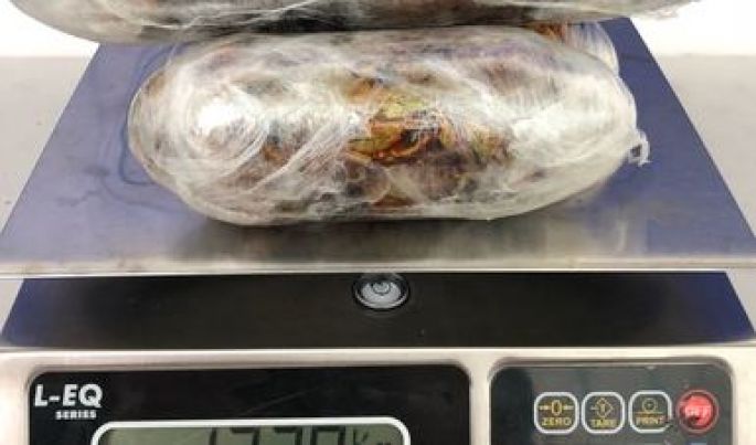 En aeropuerto de Tijuana, la Policía Federal detecta a una mujer que transportaba aparente heroína adherida al cuerpo
