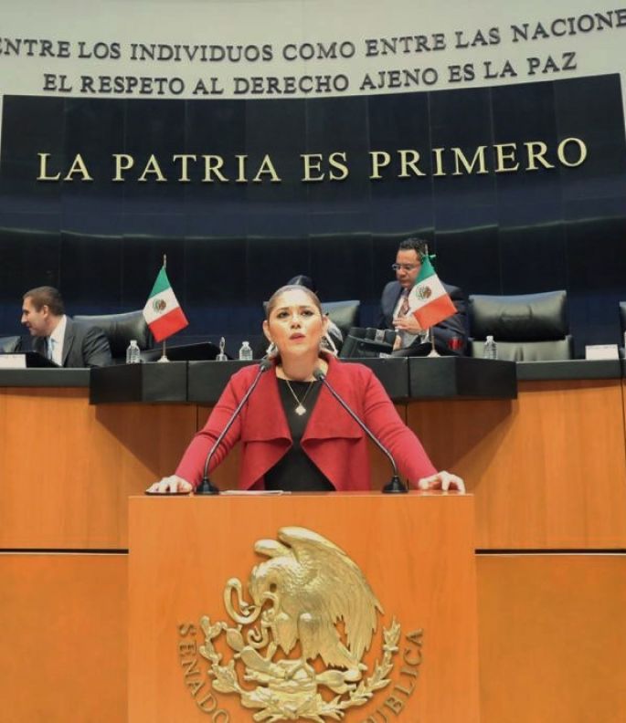 “Hay que apostarle a la prevención; no podemos permitir que la desesperanza crezca nuestro país”: Verónica Camino Farjat