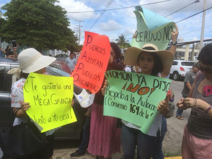 Habitantes de Homún clausuran pacíficamente la Profepa por el caso de la mega granja de Kekén