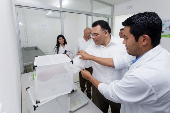 Inauguran el Laboratorio de Control Biológico contra el mosquito que transmite el dengue, zika y chikungunya