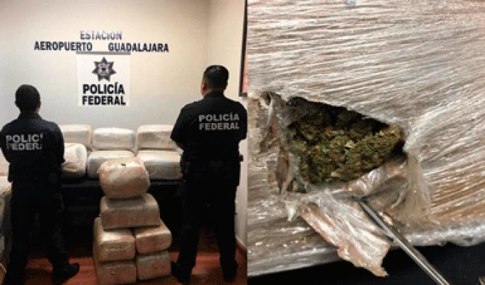 La Policía Federal localiza en Jalisco, 15 paquetes con marihuana que serían enviados a la Ciudad de México