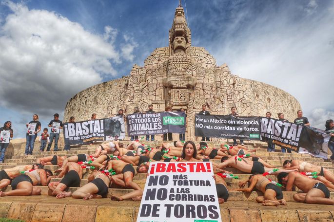 Demandan cancelar eventos taurinos en Mérida