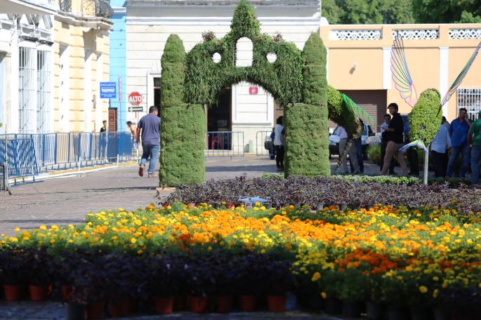 Tradición e innovación tecnológica en la 4a. edición del Camino de Flores que alista ya el Ayuntamiento de Mérida