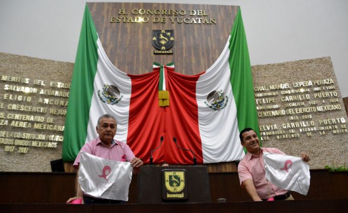El Congreso del Estado promueve la Lucha contra el Cáncer de Mama  