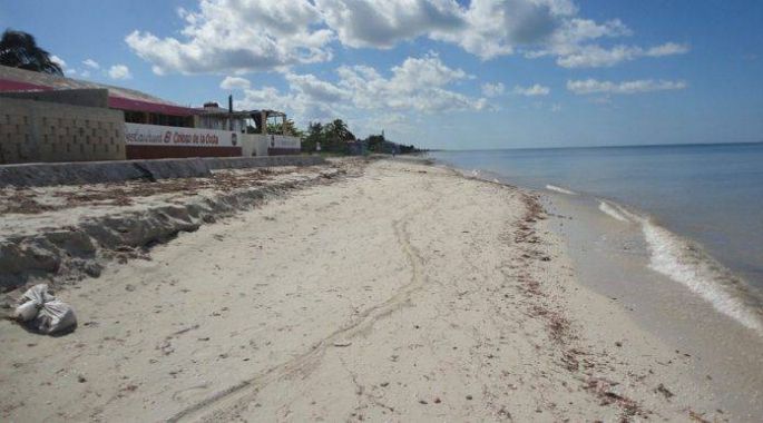 Califican como Regular, la salud de las costas yucatecas