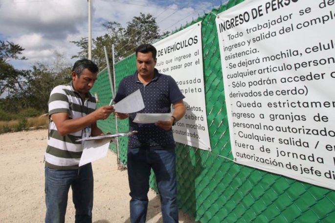 Clausura la SEDUMA operaciones en granja porcícola de Homún