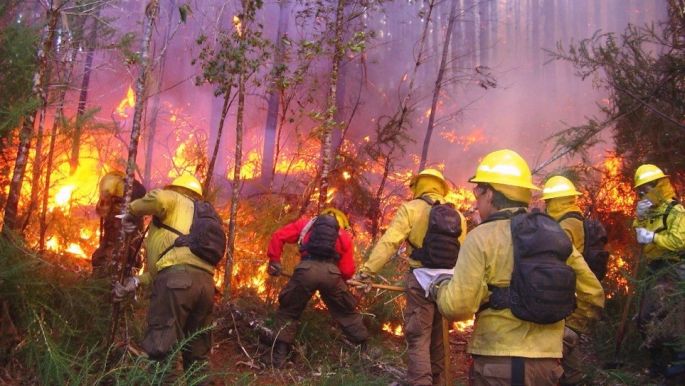 Cuadruplicó México el número de combatientes forestales