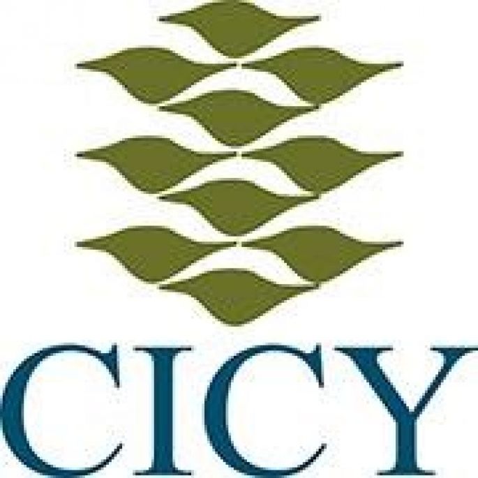 El CICY sufre recorte presupuestal de un 7.4 por ciento