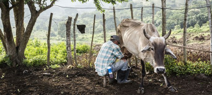 Más de 30.000 colombianos han tenido que huir de sus hogares este año