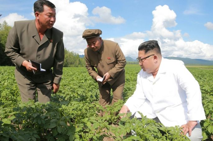 Corea del Norte reconoce dificultades en su agricultura