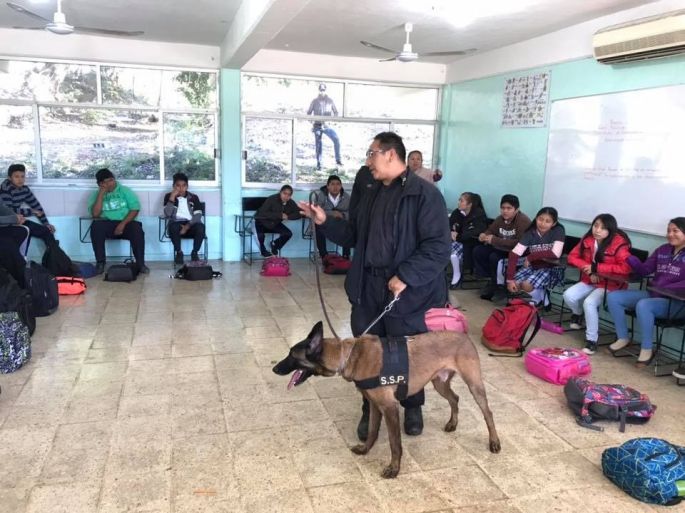 Operación "Mochila segura" en  Tinum