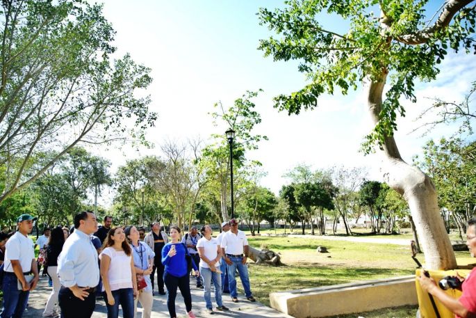 Pasos firmes del Ayuntamiento de Mérida a favor del medio ambiente