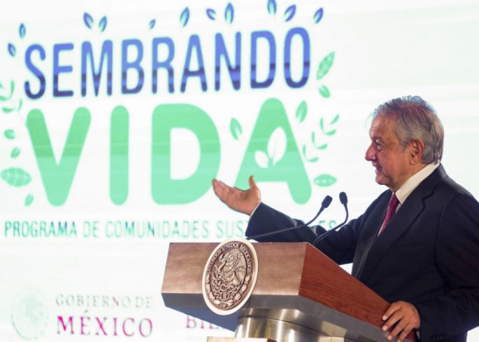 Arranca Sembrando Vida, programa de reforestación y generación de empleos