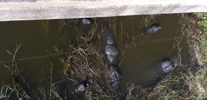 Encuentran restos humanos de 19 personas en Jalisco