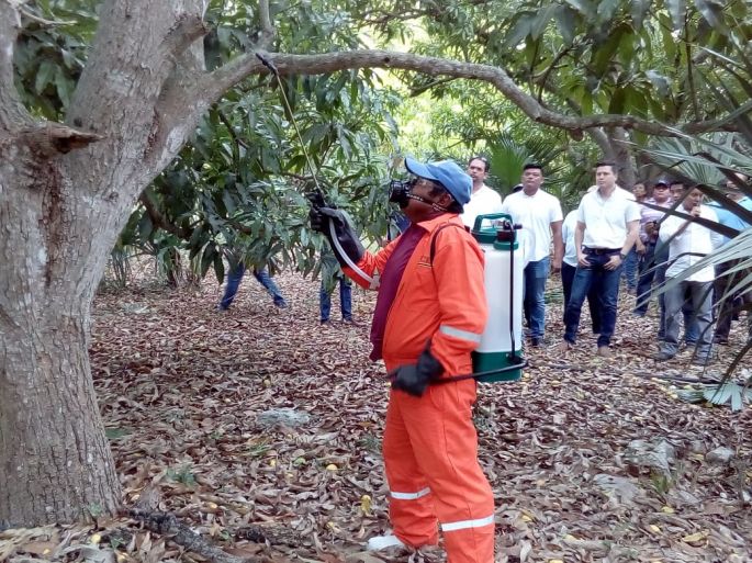 Autoridades suman esfuerzos para para combatir la mosca de la fruta.