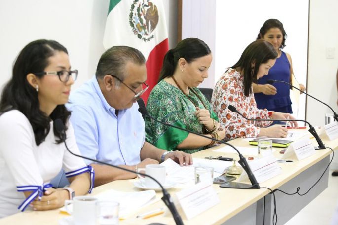 Solicitan dictamen para incluir a trabajadoras sociales desde educación básica