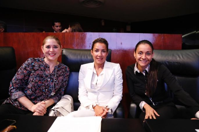 El Senado busca mejorar las condiciones laborales de  trabajadoras domésticas 