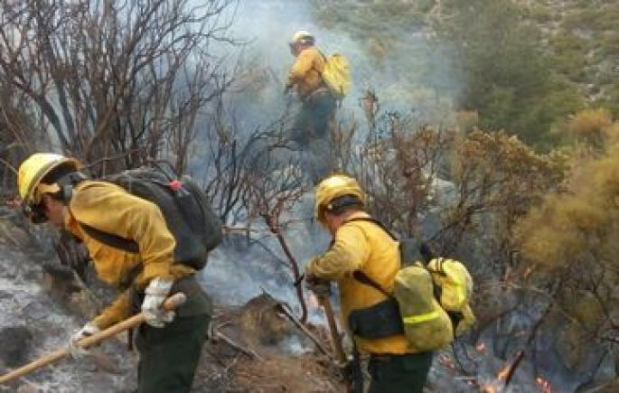 Rinden informe sobre la Temporada de Incendios 