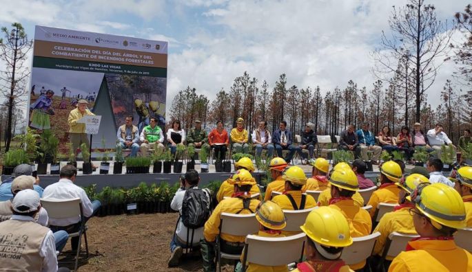 Arranca en Veracruz la Campaña Nacional de Restauración Forestal