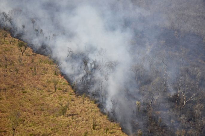 La Amazonia afronta peligros más allá de los incendios