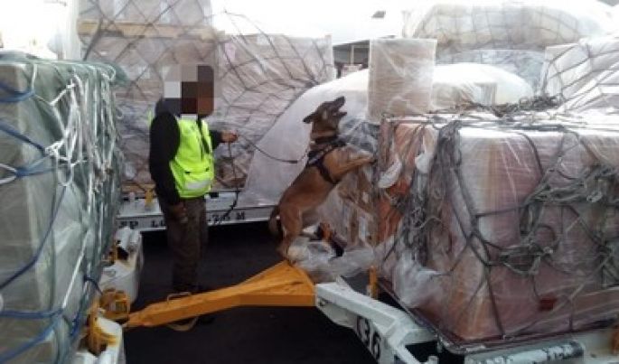 Decomisan en el aeropuerto de la CDMX sustancia química para elaborar droga procedente de China