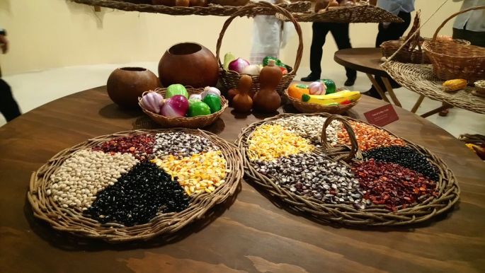 Dedican exposición a la milpa en el Gran Museo del Mundo Maya 