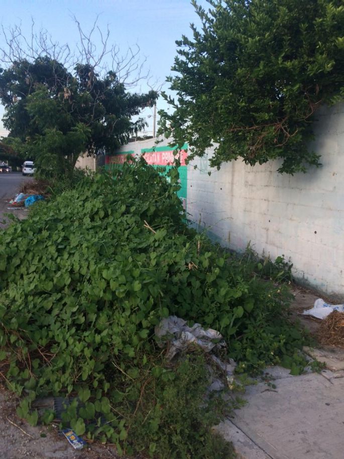 Vecinos acusan que el Ayuntamiento de Mérida los tiene abandonados