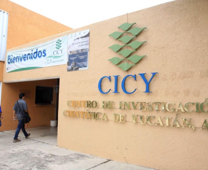 65 eventos integran el programa de “CICY Casa Abierta” que realiza este sábado