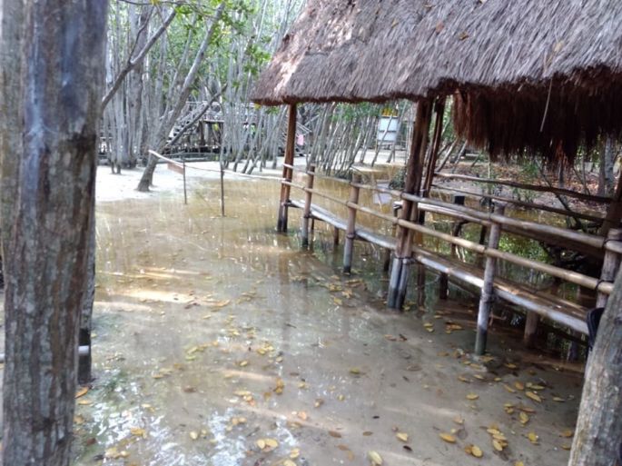 El Corchito cerrará dos días más, tras inundación de la reserva ecológica