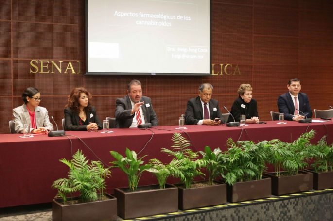 Respaldan especialistas el uso terapéutico del cannabis
