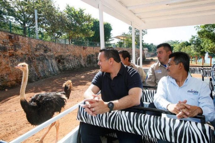 Renán Barrera supervisa las acciones de cuidado y conservación que se brinda a las especies en Animaya