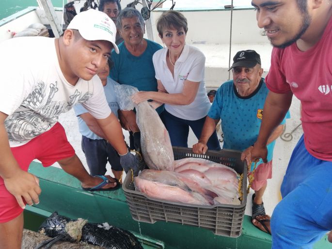 Proponen exhorto para que apoyen a pescadores durante la veda del mero