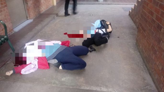 Hechos de Torreón, Coahuila, consecuencia de la violencia armada contra la sociedad