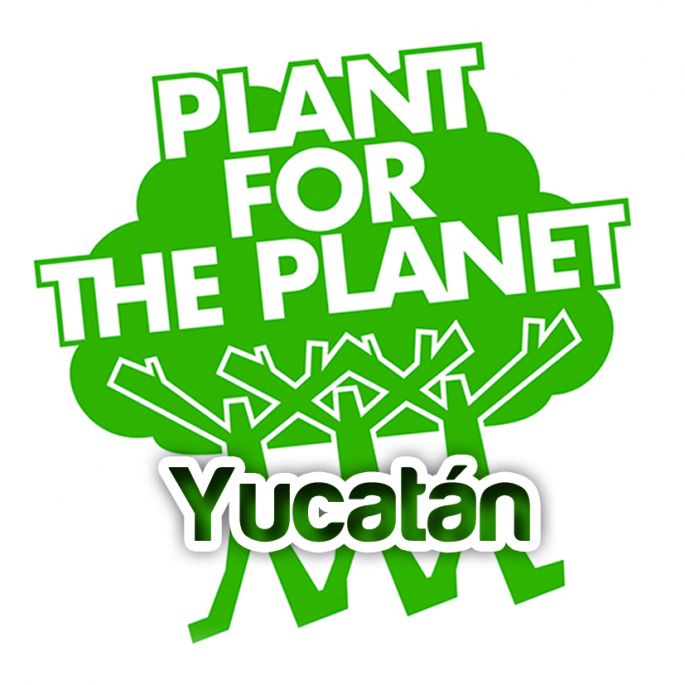 Inicia sus ciclos las Academias Plant For The Planet Yucatán 