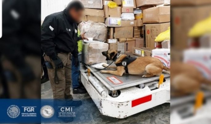 Con ayuda de binomios caninos, elementos de la FGR aseguran paquetes con posibles psicotrópicos