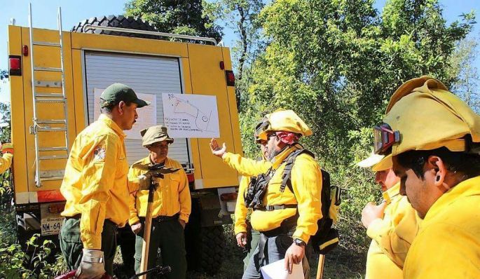 Trabaja sector ambiental en acciones preventivas para hacer frente a la temporada de incendios forestales 
