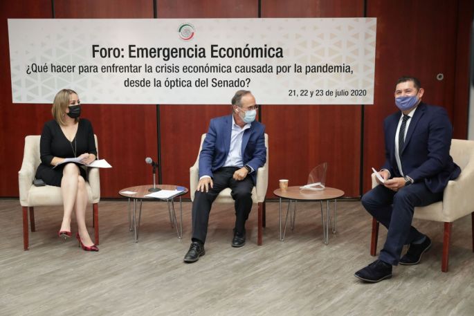 Analizan Senadores y especialistas propuestas legislativas para enfrentar la emergencia económica