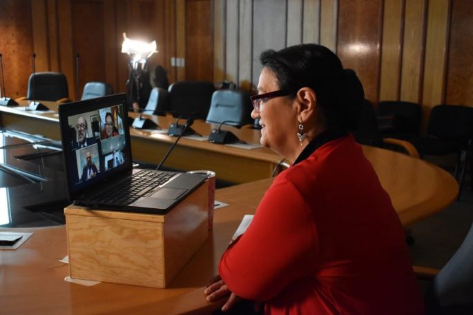 Necesario, mantener y fortalecer la diplomacia parlamentaria: diputada Sauri Riancho