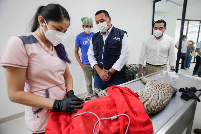 Nuevo hospital veterinario del Parque del Centenario, obra que refleja el bueno uso de los recursos de la ciudadanía, afirma el alcalde Renán Barrera 