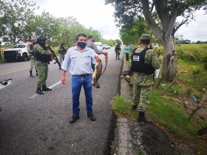 Profepa asegura 42 ejemplares de vida silvestre en Tabasco 