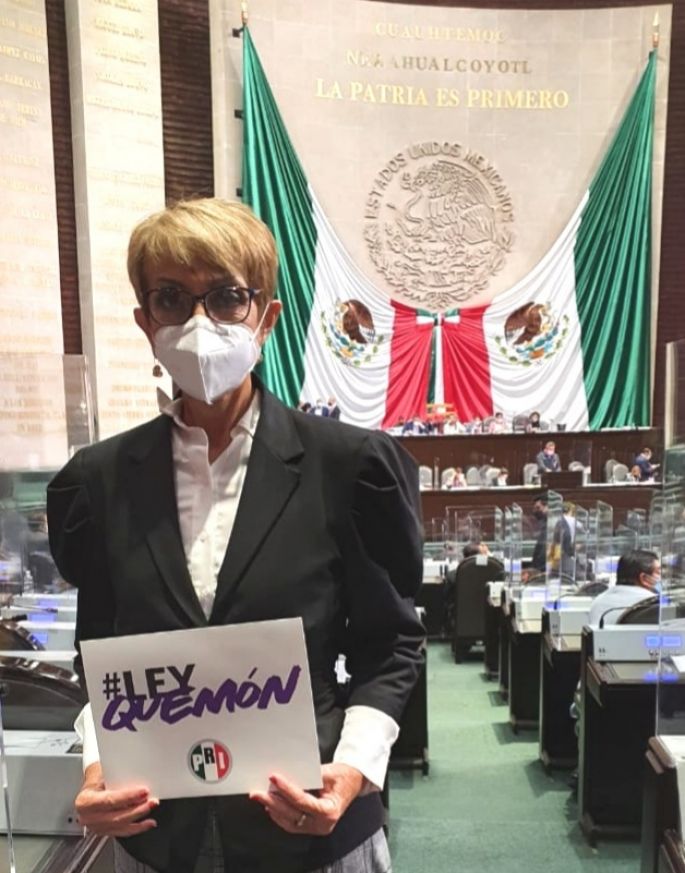 Impulsa el PRI la “Ley Quemón” para combatir la violencia contra las mujeres 